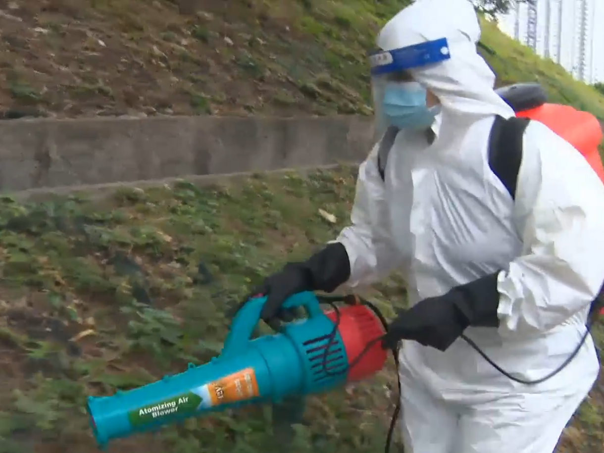 學者指基孔肯雅熱新患者活動範圍廣難追蹤源頭，正追查是否存在傳播鏈。(有線新聞截圖)