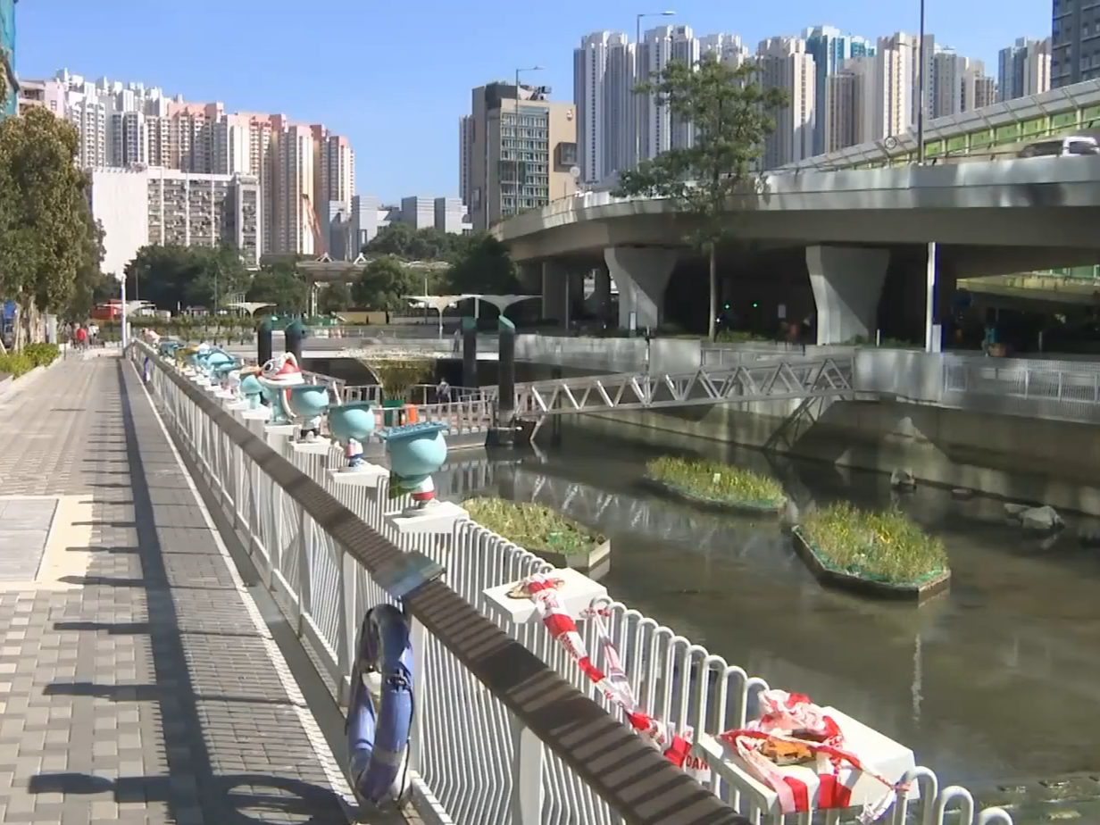 觀塘翠屏河渠務署吉祥物「下水水」遭破壞掟入河，警刑毀跟進。(有線新聞截圖)