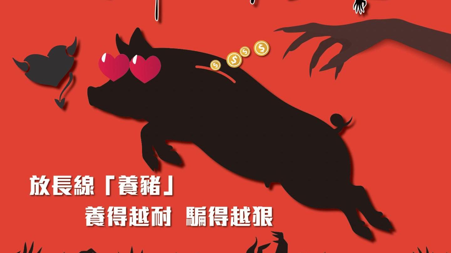 52歲婦情陷「新加坡商人」，投資高回報酒店痛失260萬元。(守網者Facebook)