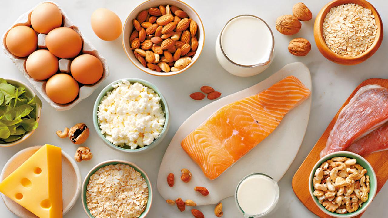 高蛋白質飲食的健康風險爭議