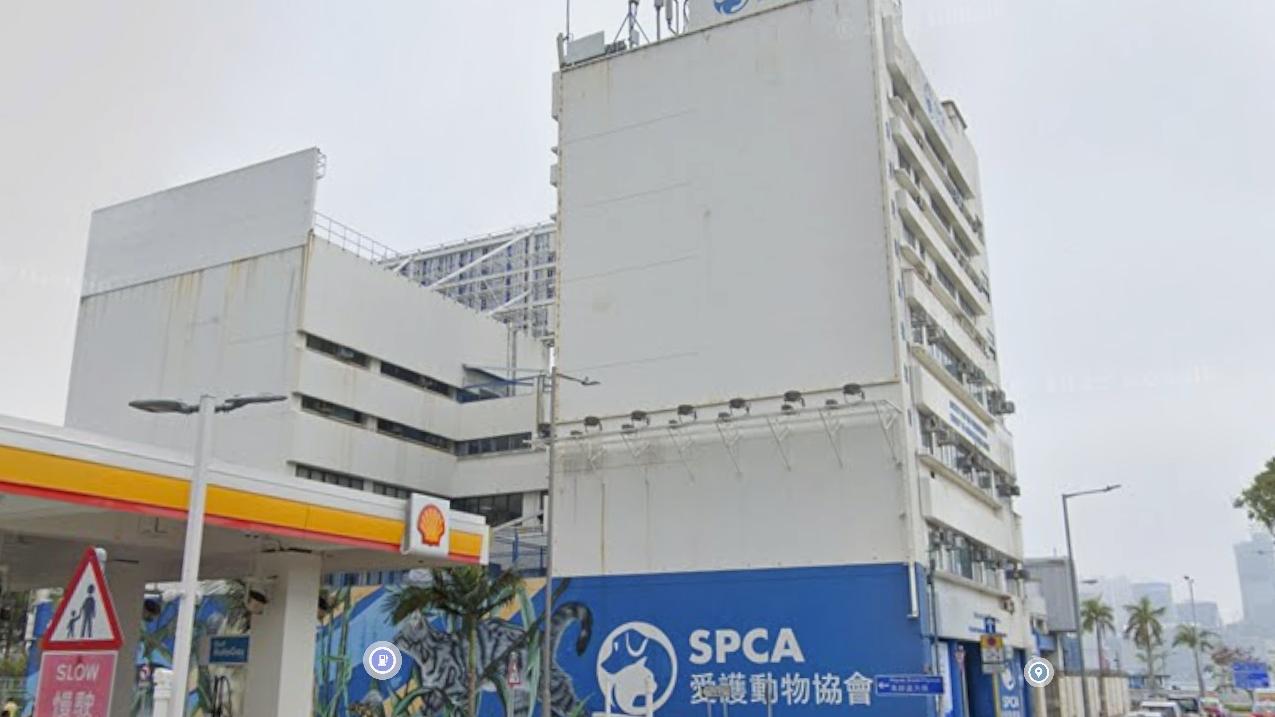 愛護動物協會。（Google地圖截圖）