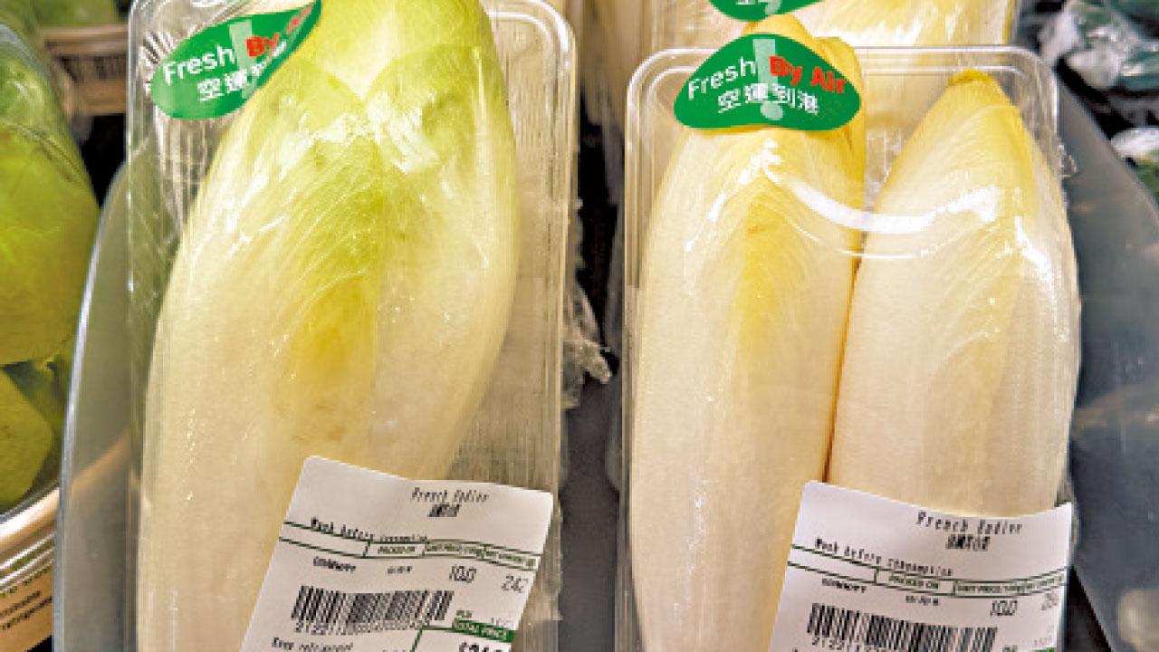 菊苣小傳（三）