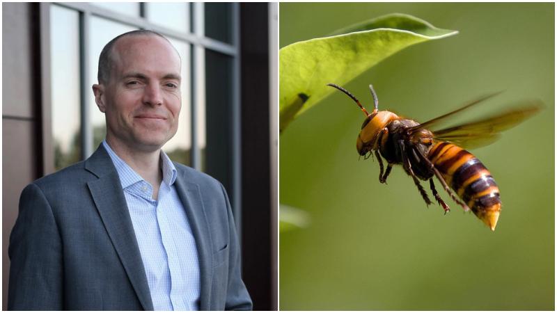 一對父子在寮國度假時，慘遭大虎頭蜂螫死。