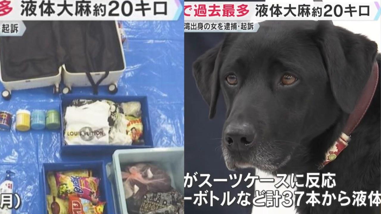 台灣女子走私20公斤液態大麻　關西機場緝毒犬退休前建功