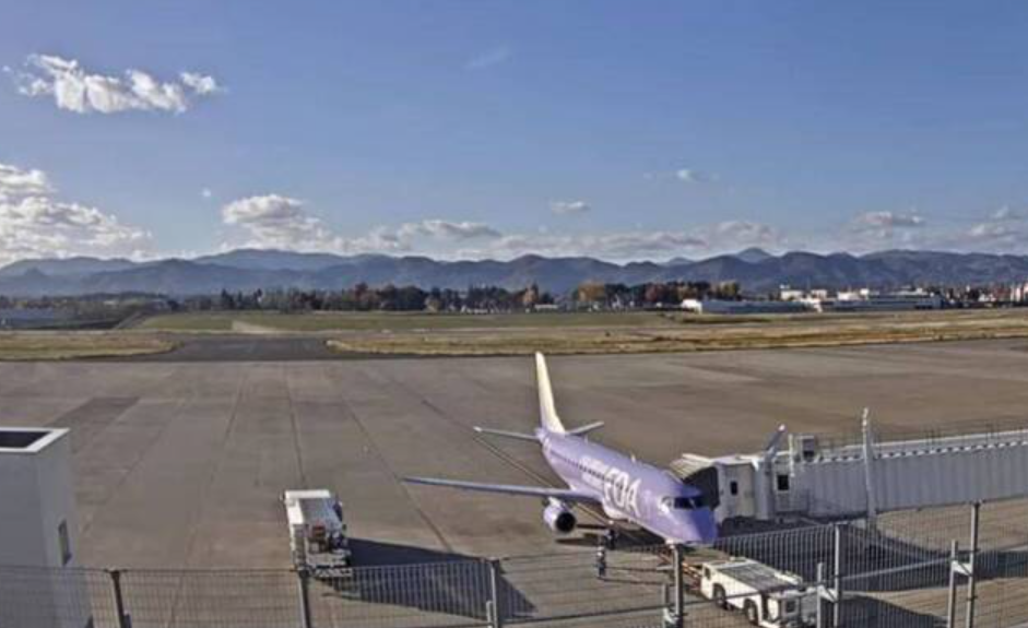 岩手縣花卷機場停機坪附近有一隻熊出沒闖入機場停車場附近區域，機場隨即關閉跑道。(影片截圖)