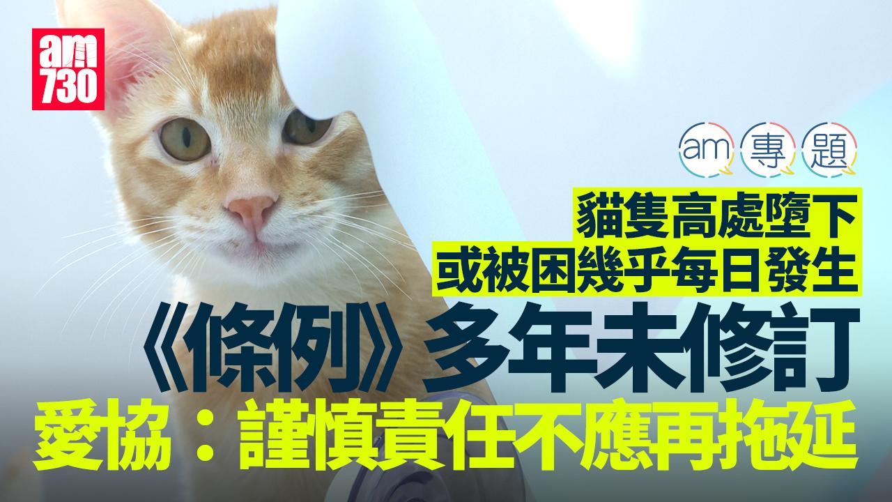 《防止殘酷對待動物條例》多年未修訂。