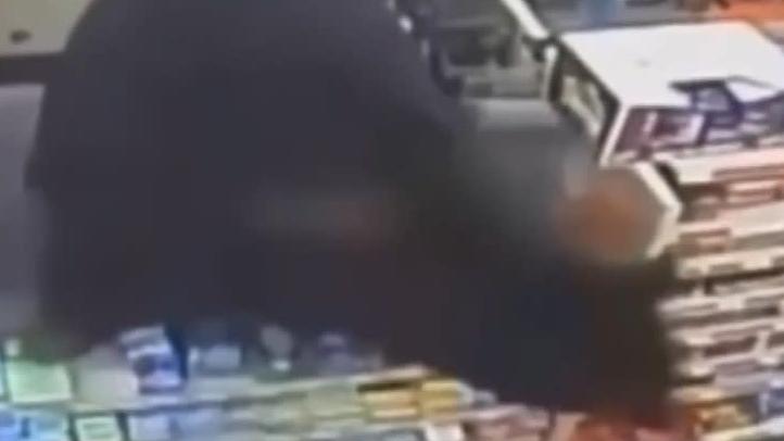 巨大黑熊跟著男童入商店，又爬上收銀櫃枱。(互聯網)