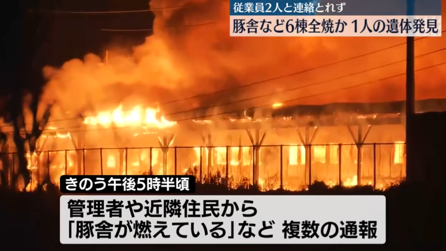 日媒畫面顯示，熊熊大火吞噬養豬場。（圖／NNN）