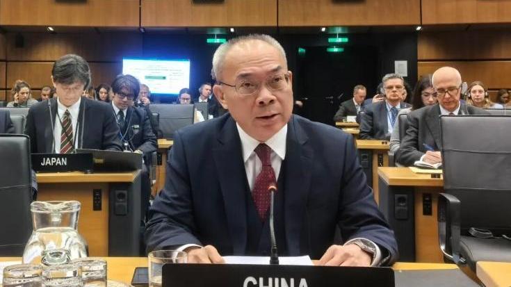 常駐國際原子能總署代表大使李松。（圖／翻攝常駐維也納聯合國和其他國際組織代表團官網）