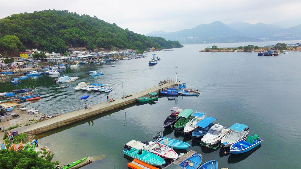 大埔三門仔公眾碼頭78歲躉船雜工疑「差錯腳」墮海，送院後不治(資料圖片)