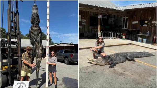 美國一名女子捕獲超級巨鱷。