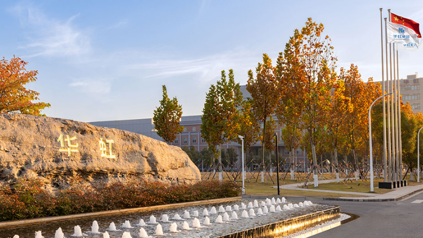 華虹半導體復甦記錄：收入爆發與股價反彈機遇