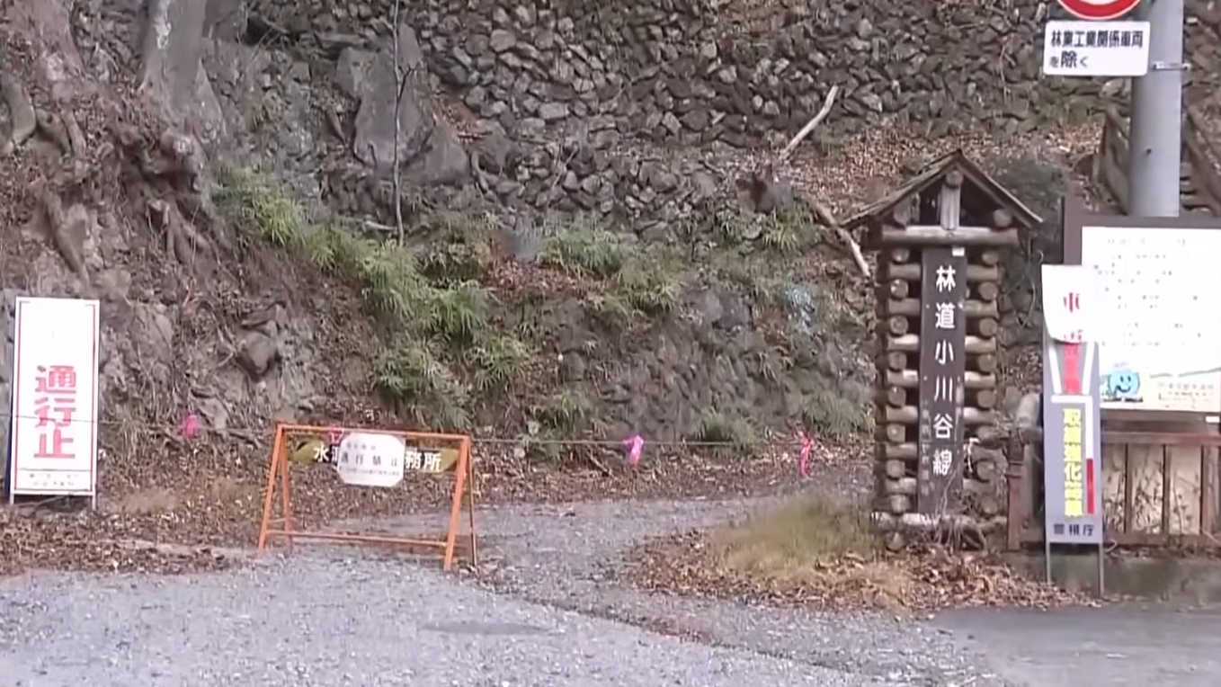 東京奧多摩地區的山徑發現一具屍體遭動物啃食。(ANN新聞截圖)