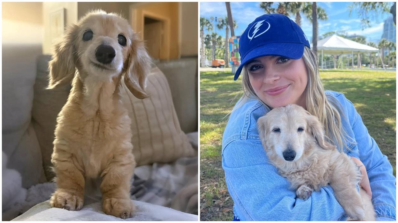 先天缺牙被稱「全球最愛笑狗狗」Bella離世。(IG)