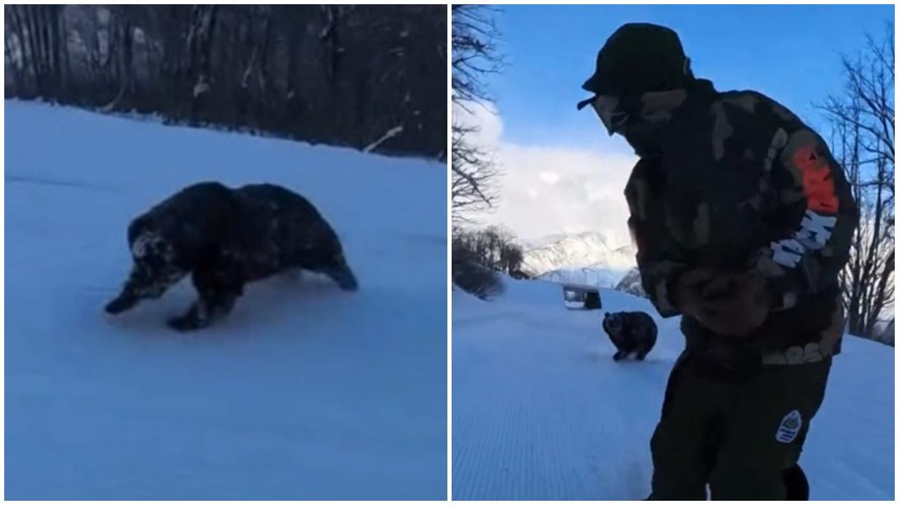 日本職業選手滑雪遭熊追趕，自拍錄下驚險過程。(IG)