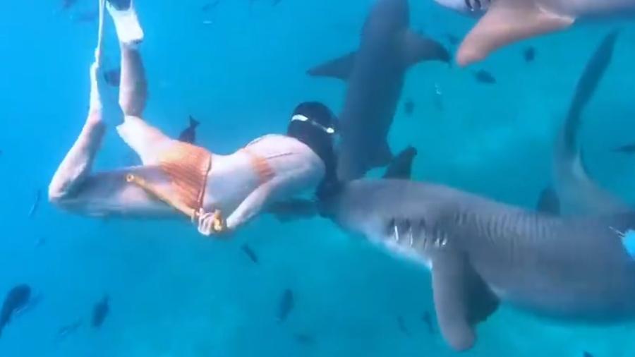 馬爾代夫內地女M到堅持與鯊同游遭咬，網民狠批：如五花肉蘸醬。(微博)