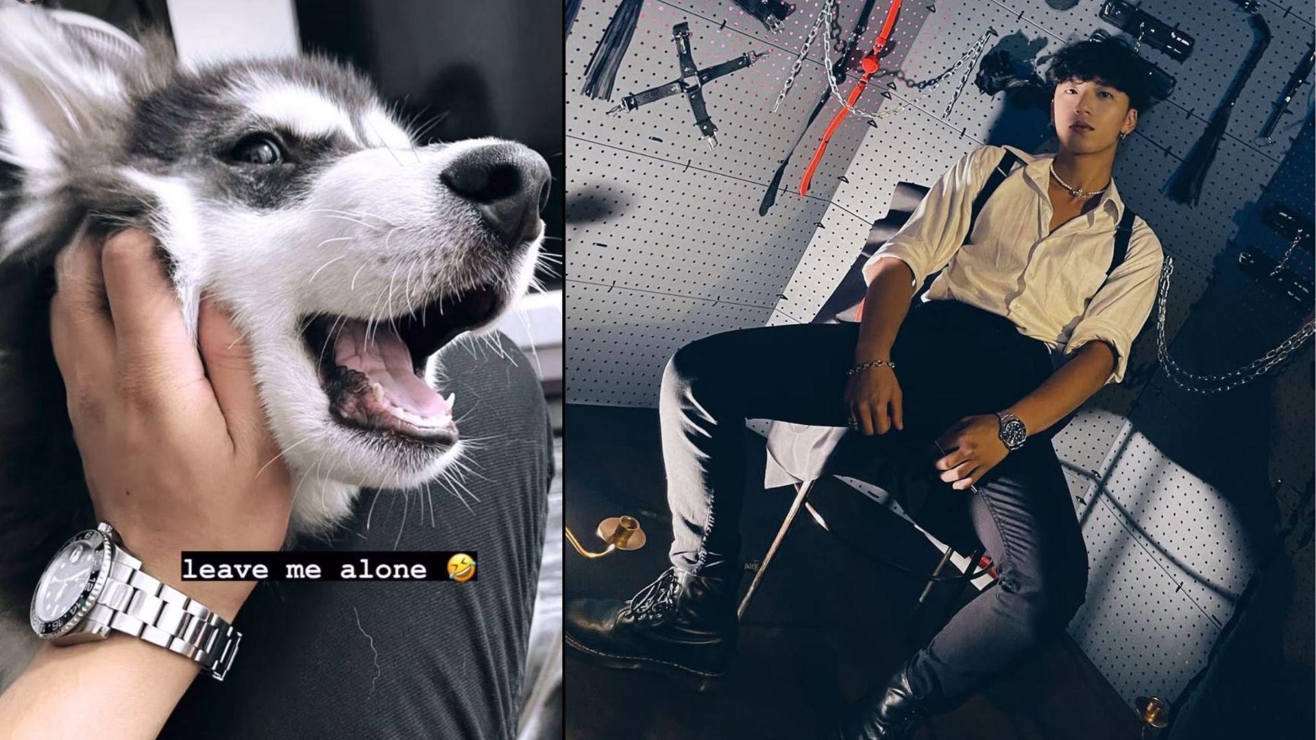 全民造星6｜Kai Cheung人氣穩守No.1 再被抹黑激動回應虐狗指控