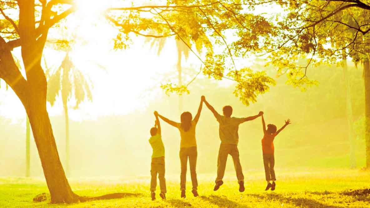 2025年自我健康回顧