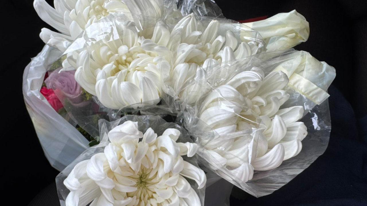 從火海中重生：宏福苑悲劇後的情緒與療癒