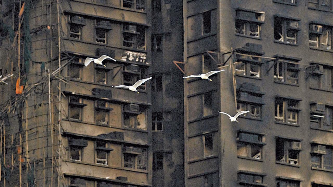 罕見悲劇 由一個煙頭說起