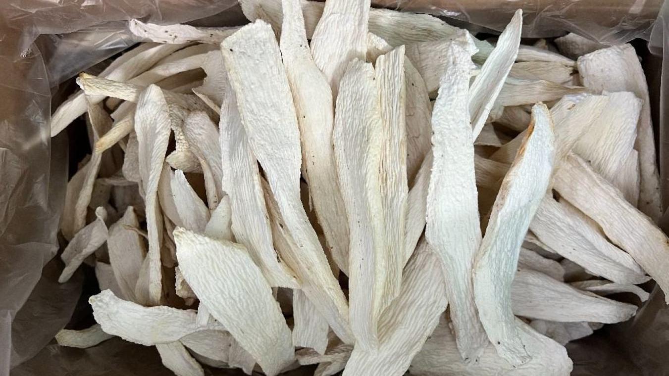 好食又健康 鮮淮山口感粉嫩 乾淮山健脾止瀉更有力