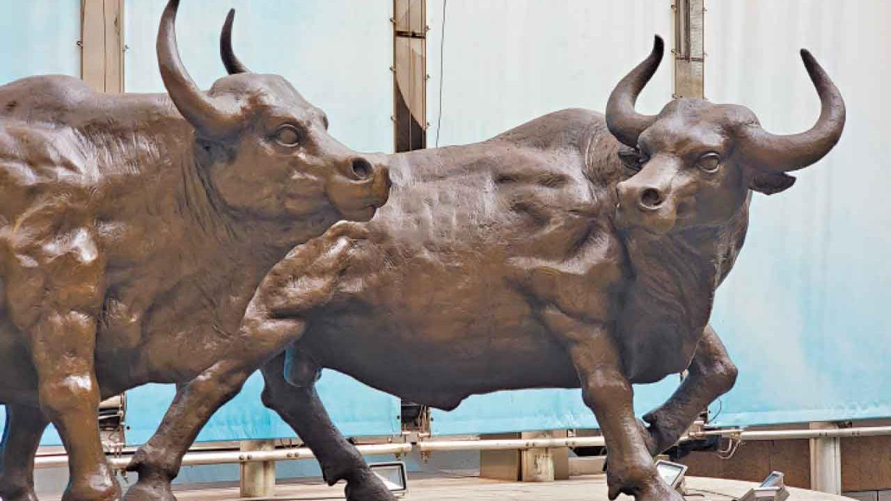 柳暗花明話今年