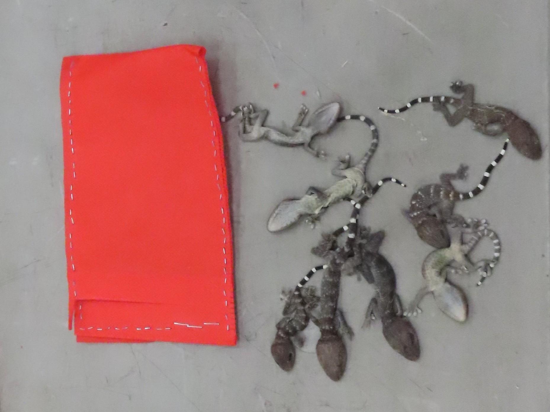 印尼空運木盒暗格藏34隻瀕危活蜥蜴，市值逾兩萬元。(政府新聞處)