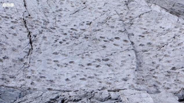 意大利岩壁遍布數千恐龍腳印 古生物學家:恐龍沿海灘步行留下足跡(有片)