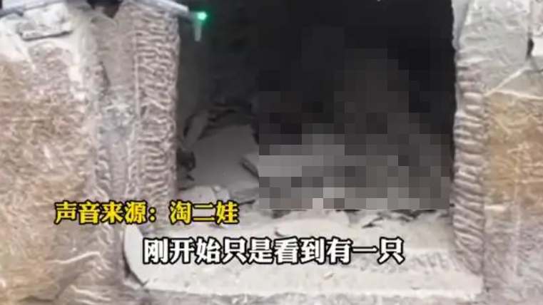 男子放飛無人機在崖洞中發現乾屍。（圖／翻攝《九派新聞》）