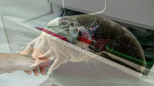 【秋冬轉季必讀】換季衣物易藏塵蟎恐致敏 穿著前切勿做漏1步驟