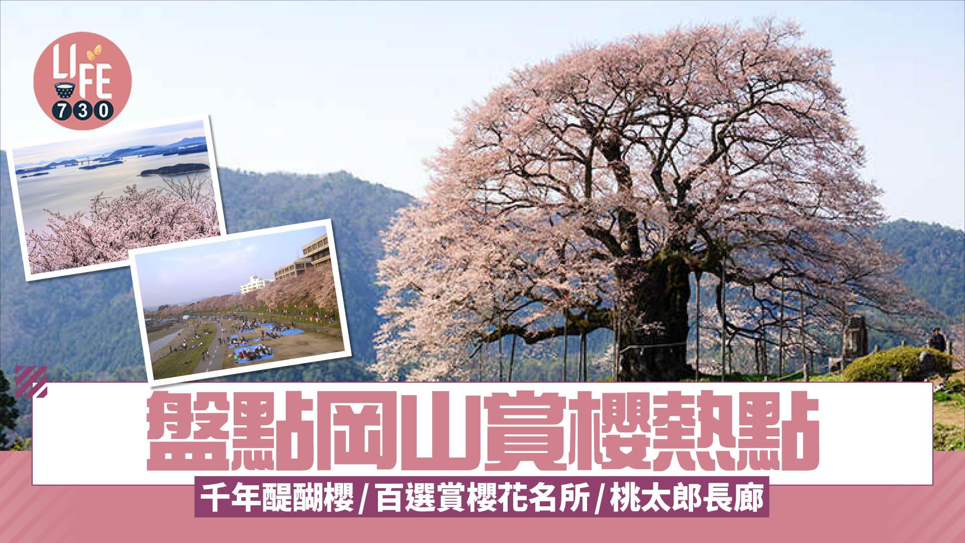 日本旅遊｜盤點岡山賞櫻熱點 千年醍醐櫻/桃太郎長廊/日本百選賞櫻花名所