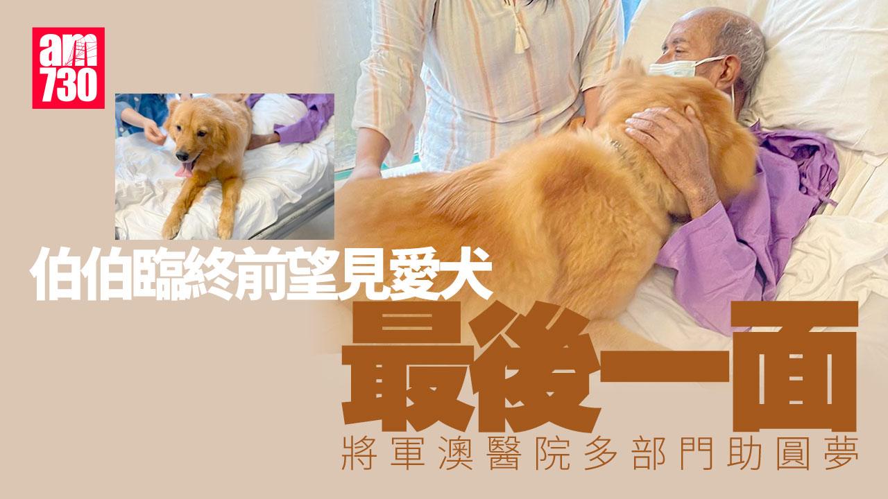 伯伯病情惡化臨終冀「見愛犬最後一面」　將軍澳醫院跨部門助圓夢