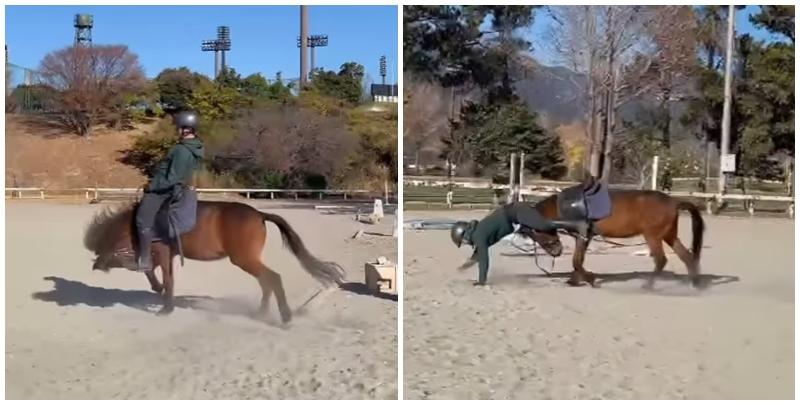 一名日本男子在馬術訓練場訓練，馬匹不斷想把他從身上甩下來，男子倒下一度以手撐地在馬首前「爬」了一小段路，畫面恍如「六腳馬」。(影片來源：IG@junsu4724)