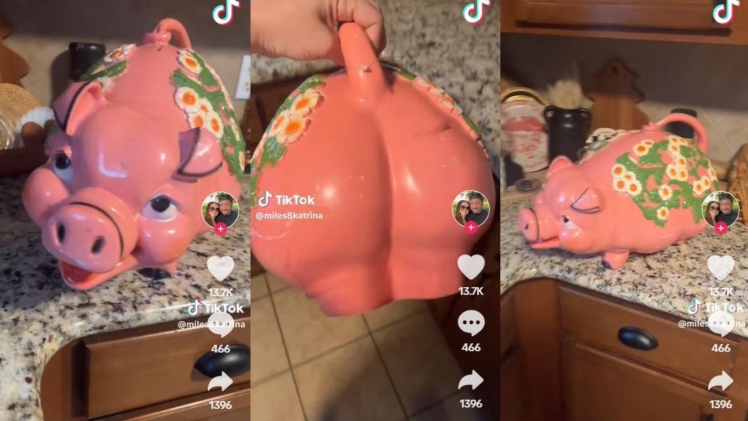 卡特里娜在德州一間二手店尋寶時，找到一個醜怪的懷舊粉紅小豬錢罌。(互聯網)