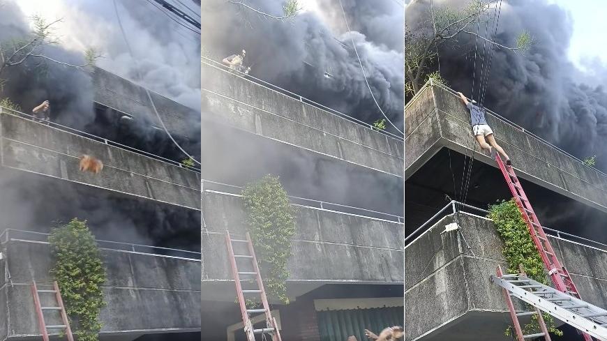左至右：女子先拋下一隻狗狗，再拋另一隻讓下面的人接住，此時已濃煙衝天並冒火，自己才驚險逃生。(互聯網)