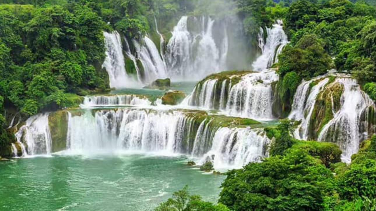 磁場決定命運 豐盛2026