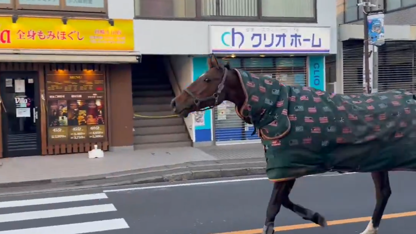 日本川崎市一匹馬走失後在路上奔馳。(影片截圖)