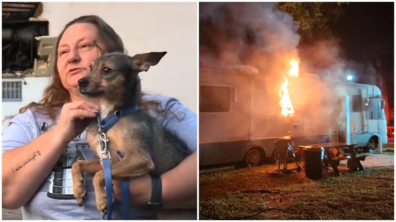 浪浪半夜叫醒全家報救命之恩，30秒大火即吞噬住所。(YouTube)