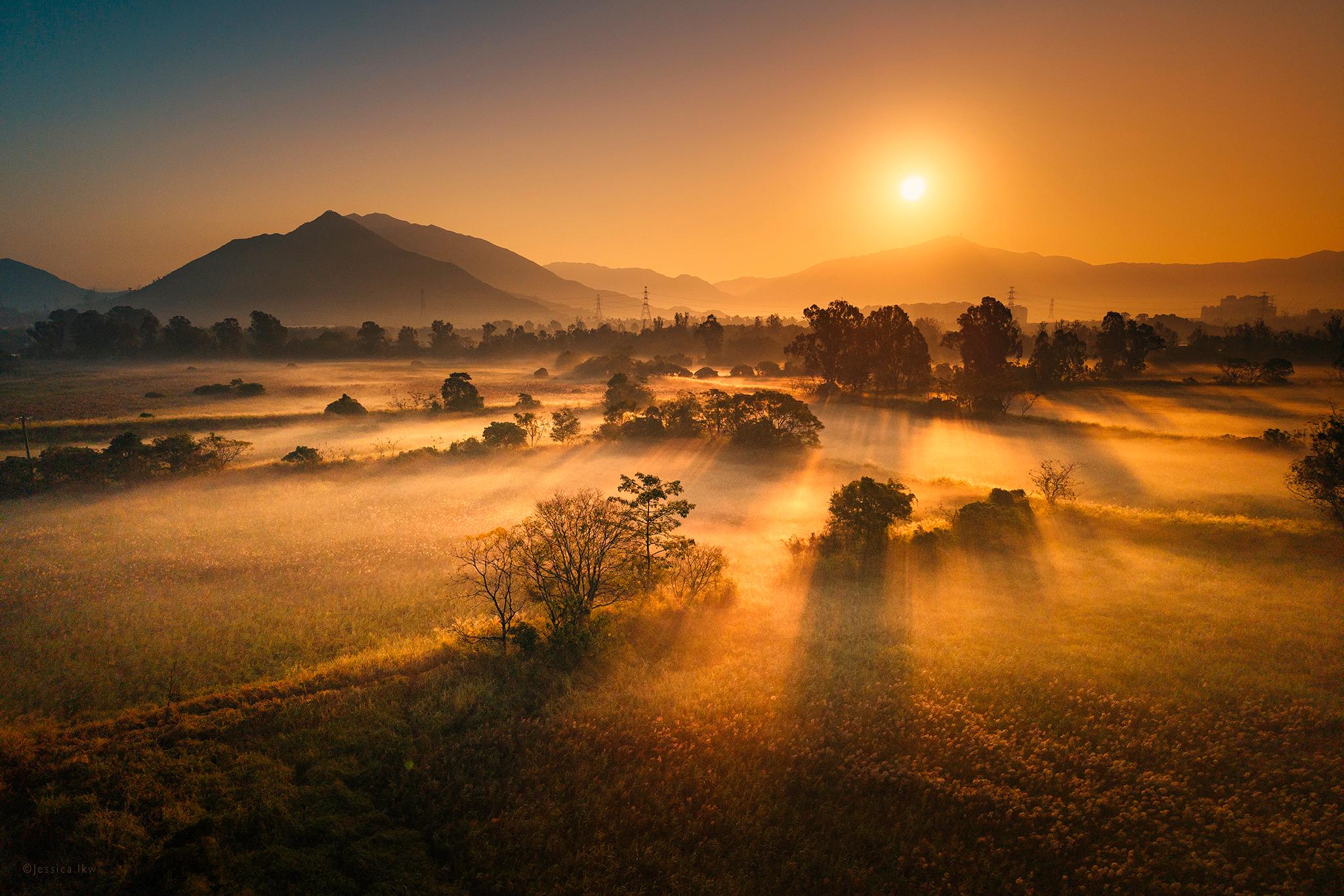 元朗南生圍冬日晨霧，天文台大讚為世外仙境。(香港天文台 HKO)