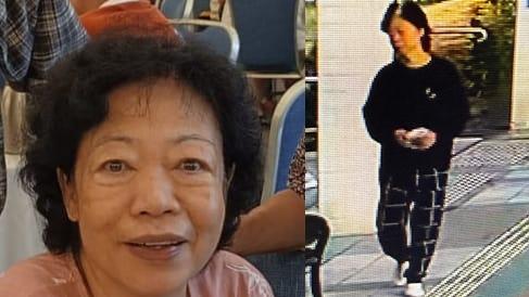 大埔70歲老婦陳偉艷失蹤。（政府新聞處圖片）
