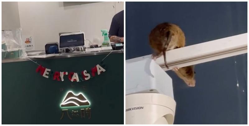 有網民發布帖文及影片指，尖沙咀厚福街的台式甜品店「八時神仙草」有一隻巨型老鼠驚現收銀櫃上方燈架。(Threads影片截圖)