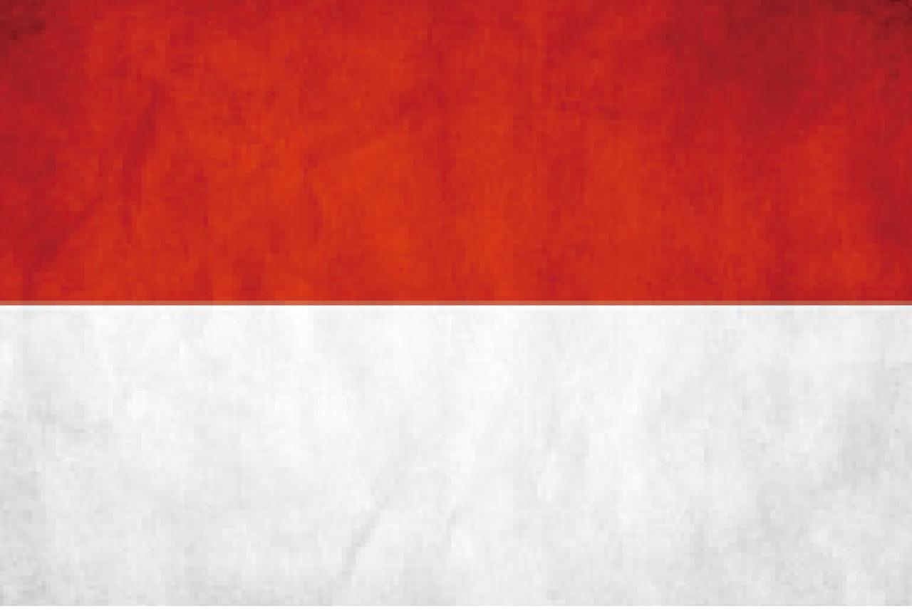 【東南亞足球錦標賽】軍情花絮~印尼爭盃 保住老帥