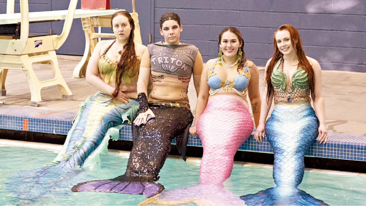 捨正職 學擺尾 美國新人種 魚樂無窮