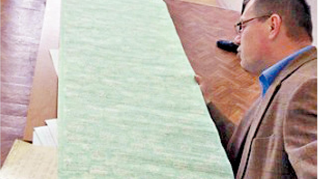 絕世貓紙 12呎長