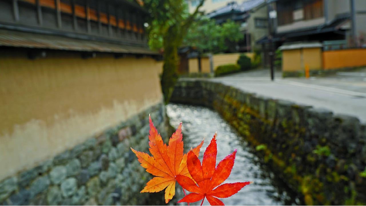 金澤 靜遊武士古居