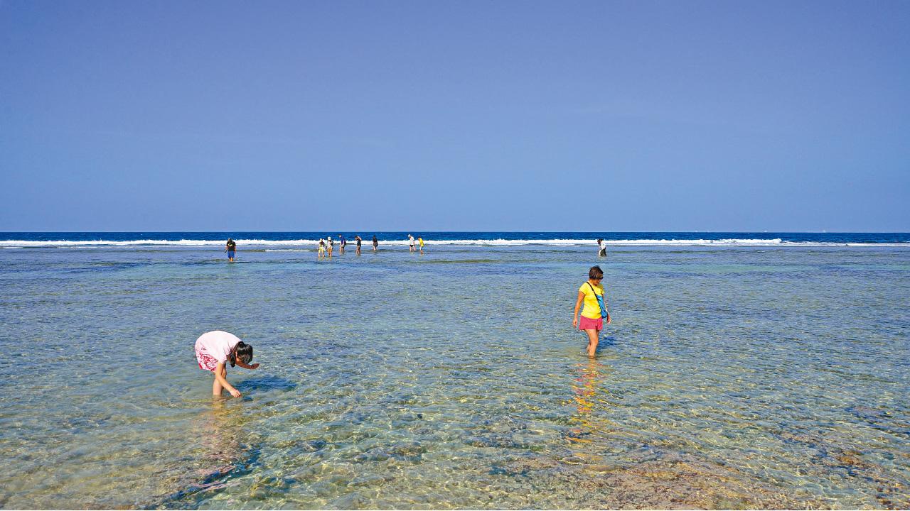 當一回寄居蟹 樂在綠色島嶼小琉球 