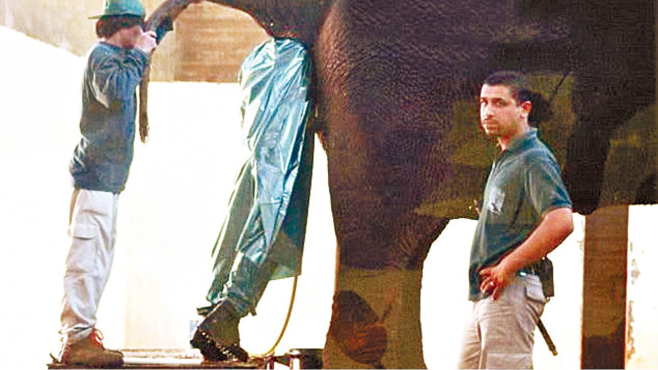 各行各業 此job最杰