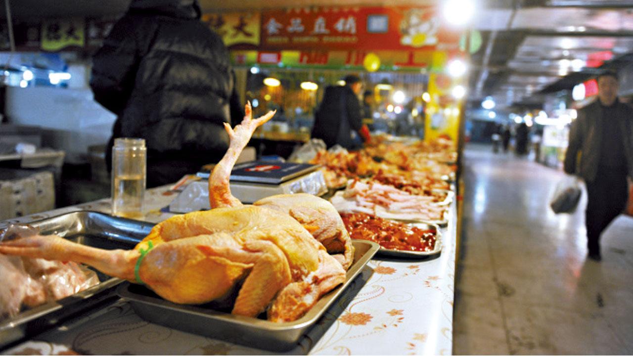 禽類發病率提高 廣東H7N9病毒變種