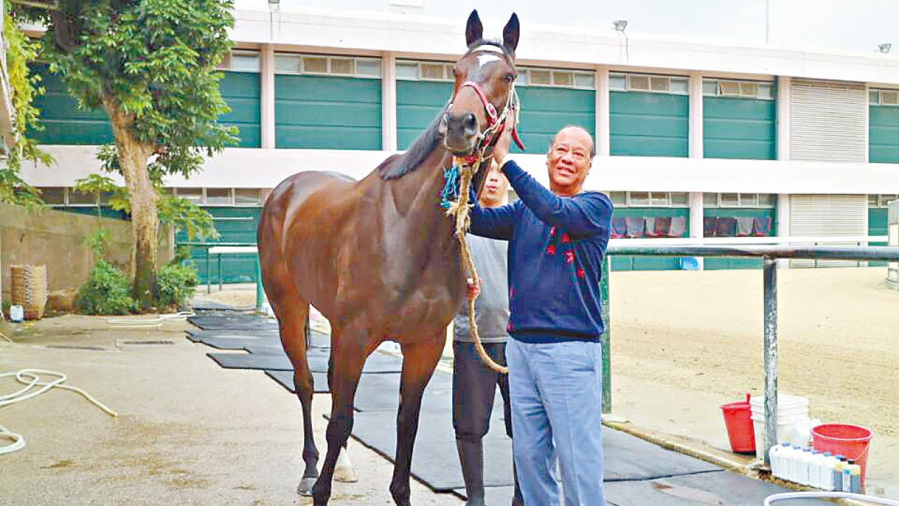[人物]巴基之星受訓克服出閘緩慢  馬主︰ 任何事需努力