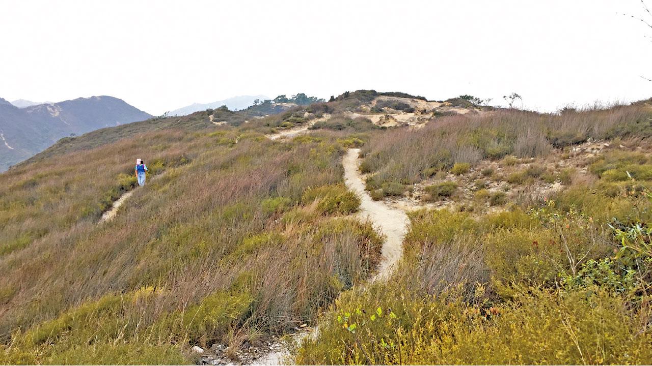 Hike~山不在高  明媚的茅園山